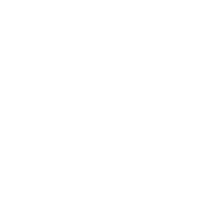 Leveling Boost service